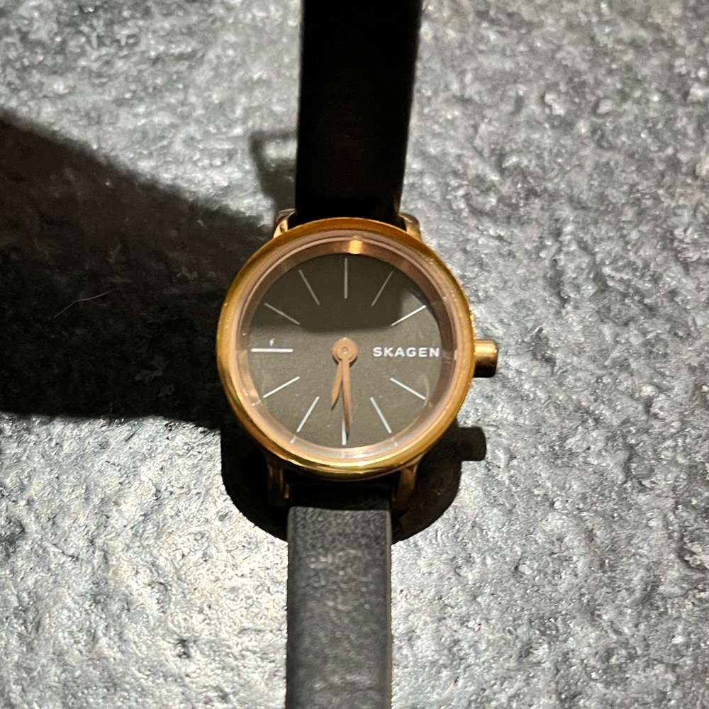 Skagen Delicate Watch With Leather Strap